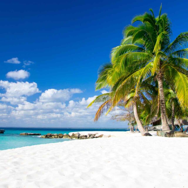 portfolio_03 portfolio_03