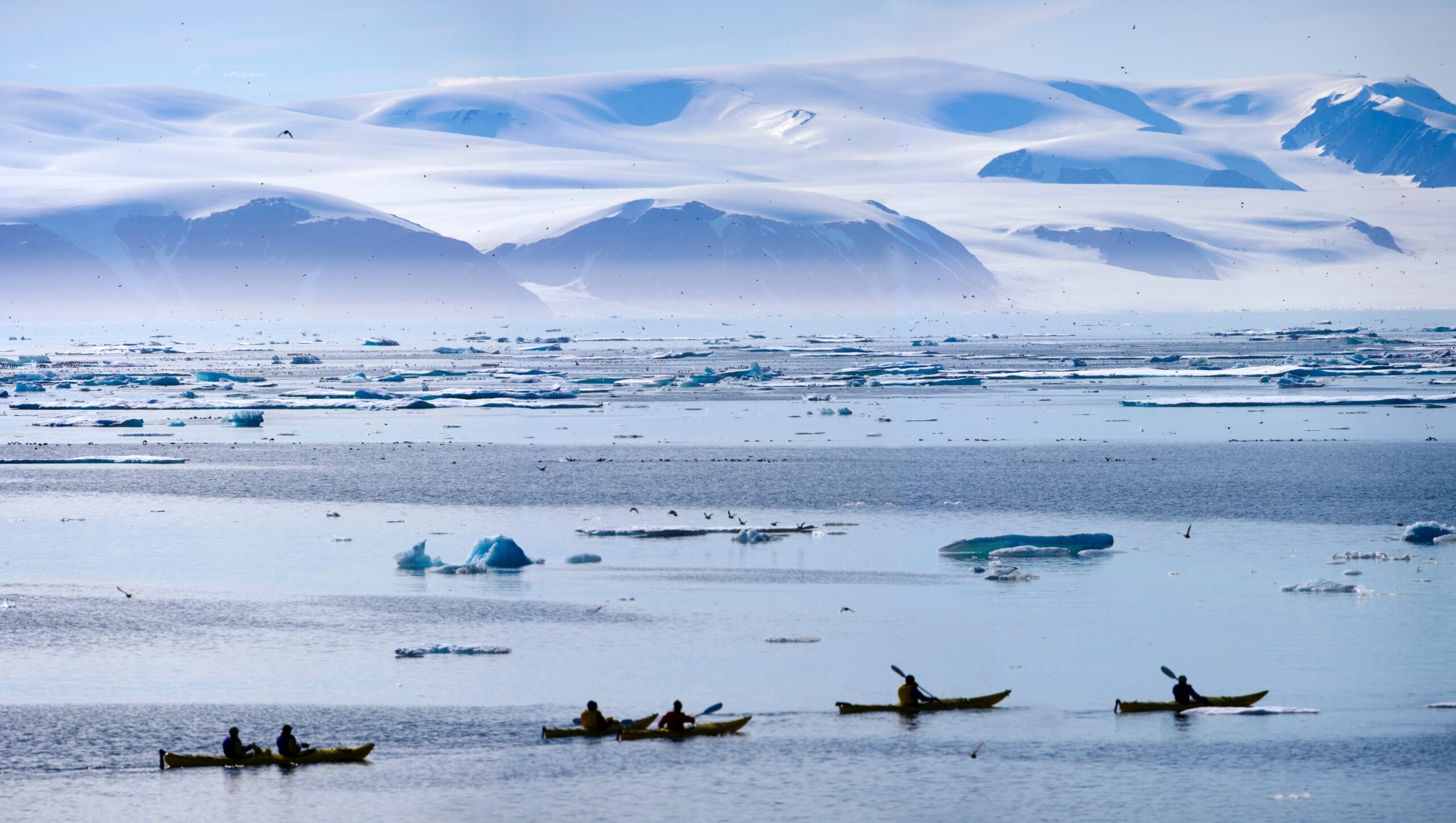 https://cacsd.ca/wp-content/uploads/2025/02/kayaking-in-nunavut-scaled.jpeg